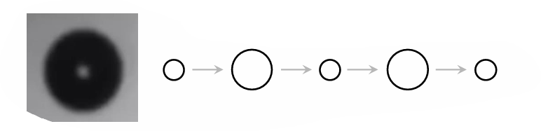 <ol><li><p>acoustic pressure variation causes the bubble to oscillate indefinitely</p><ol><li><p>at low pressure → bubble expands</p></li><li><p>at high pressure → bubble shrinks</p></li></ol></li><li><p>stiffness of the bubble gas and inertia of the surrounding medium and bubble shell surface tension are balance</p><ol><li><p>stiffness of gas → prevents bubble from shrinking too much</p></li><li><p>inertia of medium and surface tension from shell → prevents bubble from expanding too much and bursting</p></li></ol></li></ol><p></p>