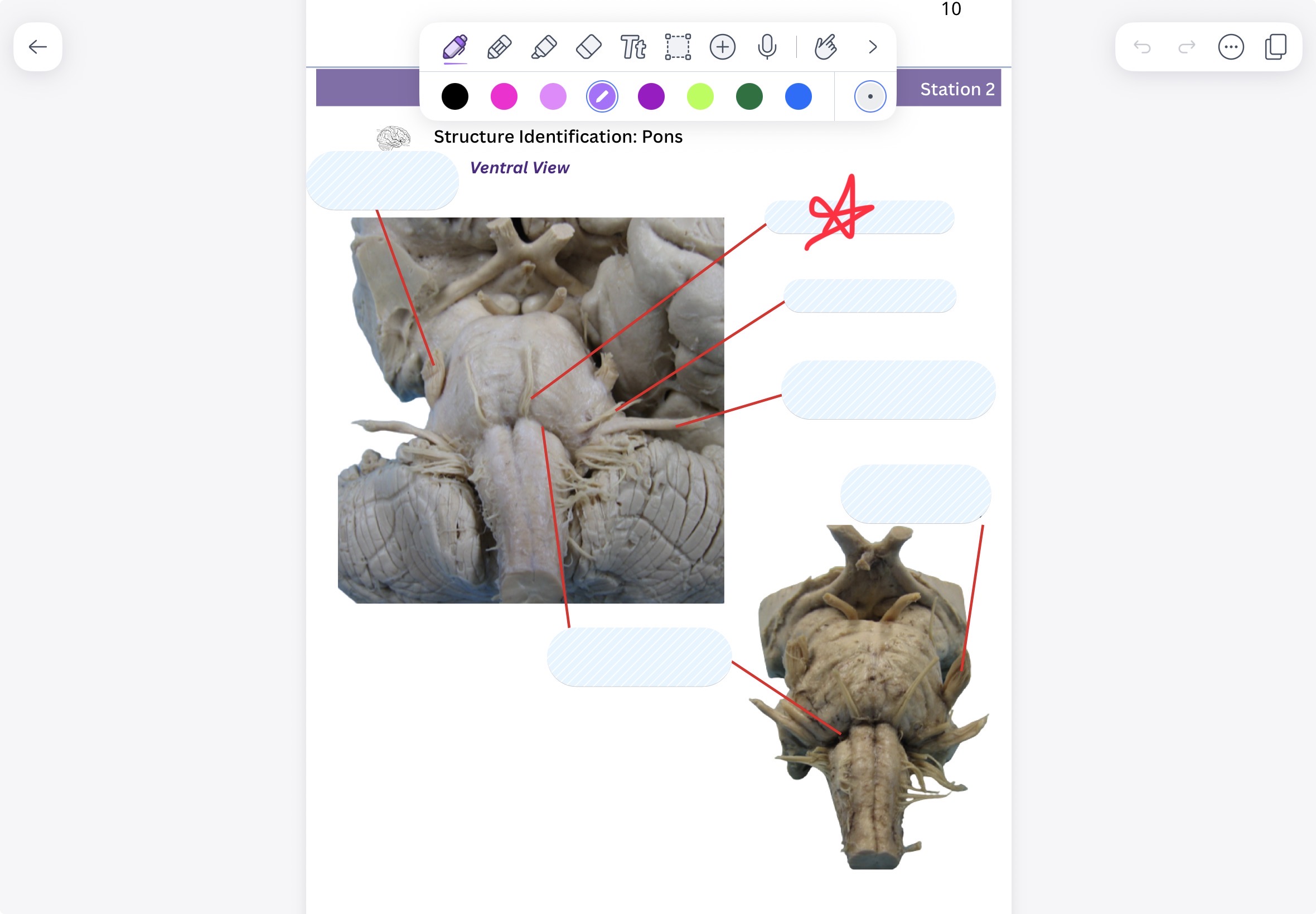 knowt flashcard image
