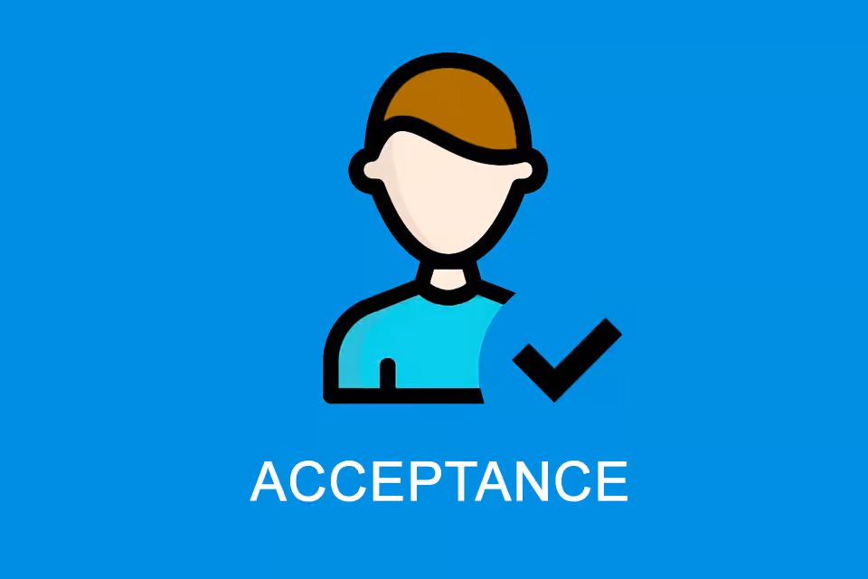 <p><strong>ACCEPTANCE <em>(noun)</em></strong></p>