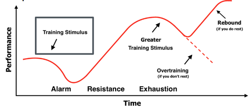 <ul><li><p>training is exploiting the adaptive ability of human body to improve upon one or more factors</p></li><li><p>in order to get better, our body has to increase and adjust to a new base rate</p></li></ul><p></p><ol><li><p>start with a training stimulus </p></li><li><p>that brings you into an alarm phase</p></li></ol><ul><li><p>decrease in performance right away, 2-24 hours post session</p></li></ul><ol start="3"><li><p>then you get into the recovery phase which is when you start to climb back and your body adapts</p></li><li><p>the next training stimulus should be when you’ve reached optimal recovery (could be 24 hours, could be 8 etc.)</p></li><li><p>after the next session, hopefully we are not dipping as much, going into recovery and then training again when you have reached optimal recovery (which varies per athlete)</p></li></ol><p></p>