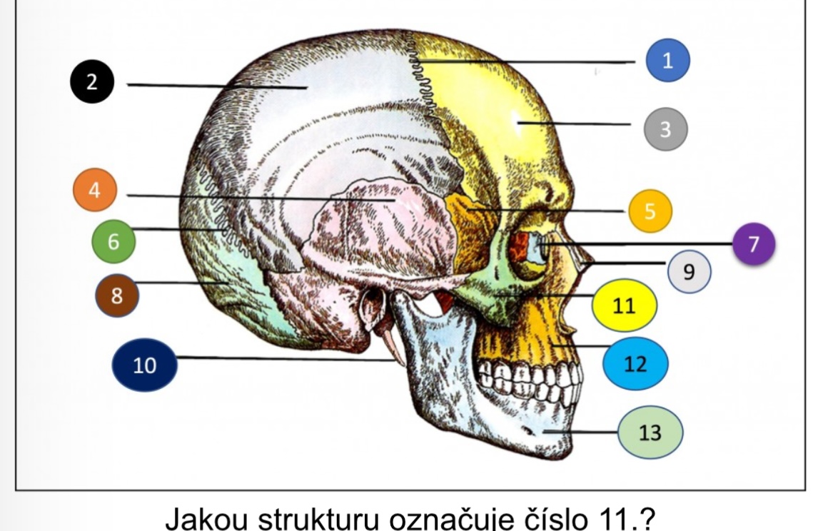 <p>číslo 7</p>