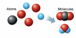 <p>Atoms combine to form molecules</p>