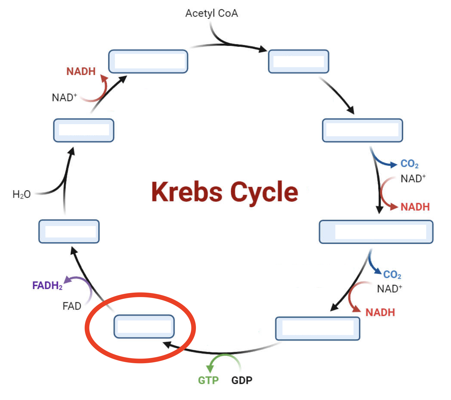 <p>Intermediate 5</p>