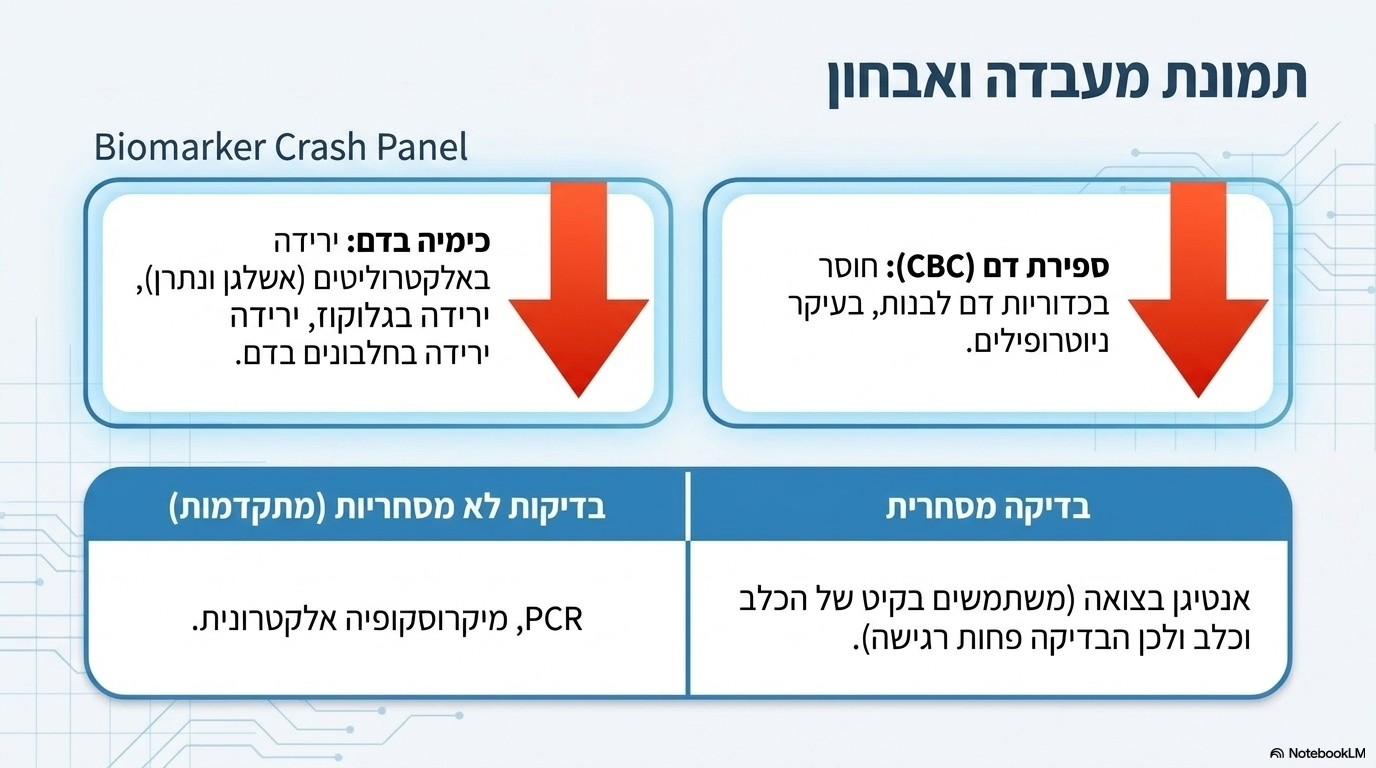 <ul><li><p><strong>ספירת דם (סי.בי.סי):</strong> חוסר חמור בכדוריות דם לבנות, <strong>בעיקר נויטרופילים</strong> (מכאן השם פאנלאוקופניה).</p></li><li><p><strong>ביוכימיה:</strong> ירידה ברמות האלקטרוליטים בדם (<strong>אשלגן ונתרן</strong>), ירידה ב<strong>גלוקוז</strong> (סוכר) וירידה ב<strong>חלבונים</strong>.</p></li><li><p><strong>בדיקת אנטיגן מהירה בצואה:</strong> שימוש בקיט האבחון המהיר של כלבים (יש לקחת בחשבון שהבדיקה פחות רגישה בשימוש אצל חתולים).</p></li><li><p><strong>בדיקות מעבדה לא מסחריות:</strong> זיהוי ישיר באמצעות בדיקת <strong>פי.סי.אר</strong> או <strong>מיקרוסקופיה אלקטרונית</strong>.</p></li></ul><p></p>