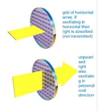 <p>The extinction axis is the absorbed direction; the transmission axis is the direction that passes through.</p><p><strong>top </strong>= absorbed (extinction) </p><p><strong>bottom </strong>= transmitted </p>