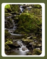 <p>Small, narrow rivers that move continuously</p>