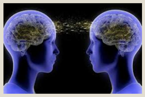 <p>what are two types of influences on the dev. of ToM?</p>