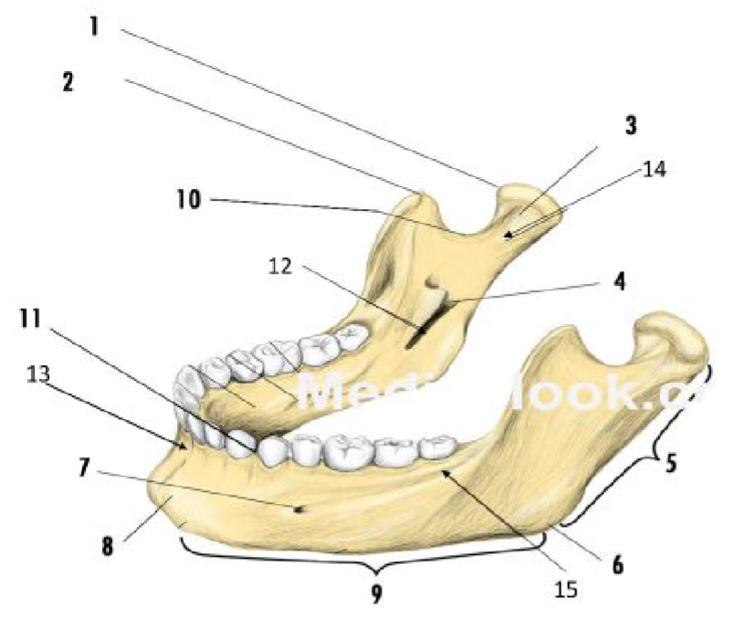 <p>What is number 7?</p>