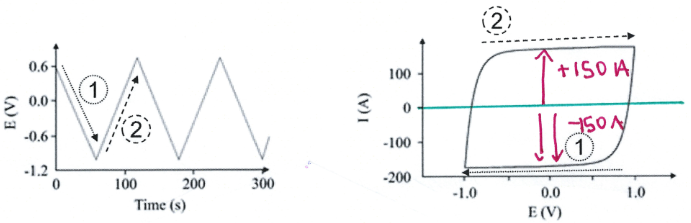 knowt flashcard image