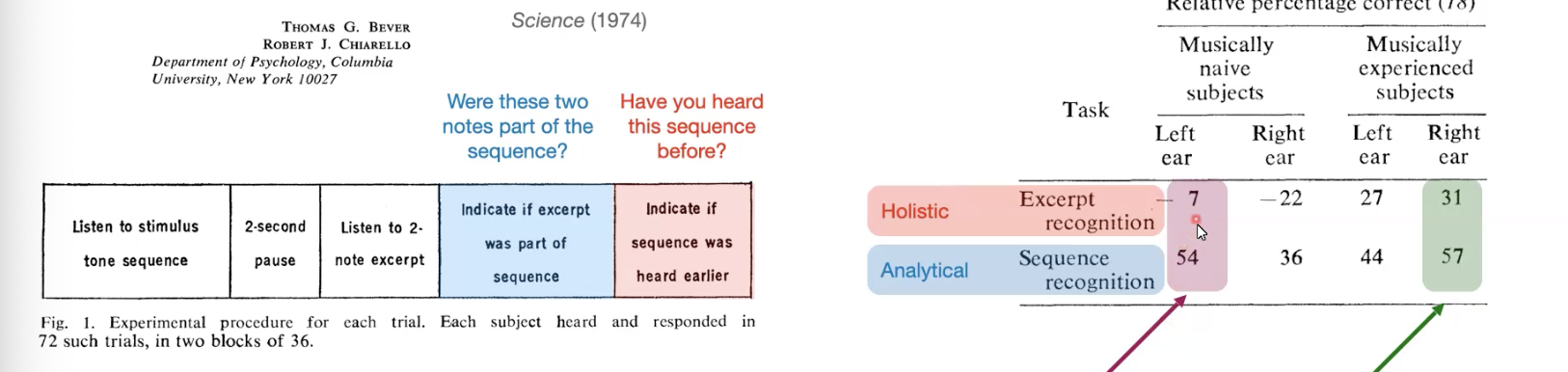 <p>Explain cerebral dominance in musicians and nonmusicians</p>