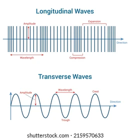 <p>Sound travels in a</p>