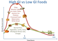 <p>• Sugars — mono- and disaccharides</p><p>• Maltodextrins and other α-glucans</p><p>• Digestible starch</p><p>digested and absorbed in the small intestine</p>