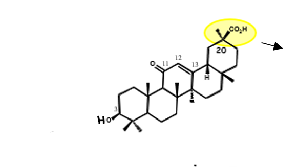 <ul><li><p>origina o acido glicirretico</p></li><li><p>anti-inflamatório de ação tópica (inibe as enzimas que degradam o cortisol, sendo o cortisol um anti-inflamatório) sendo usado em eczemas, picadas de insetos, dermatites, seborreicas da cara….</p></li></ul><p></p>