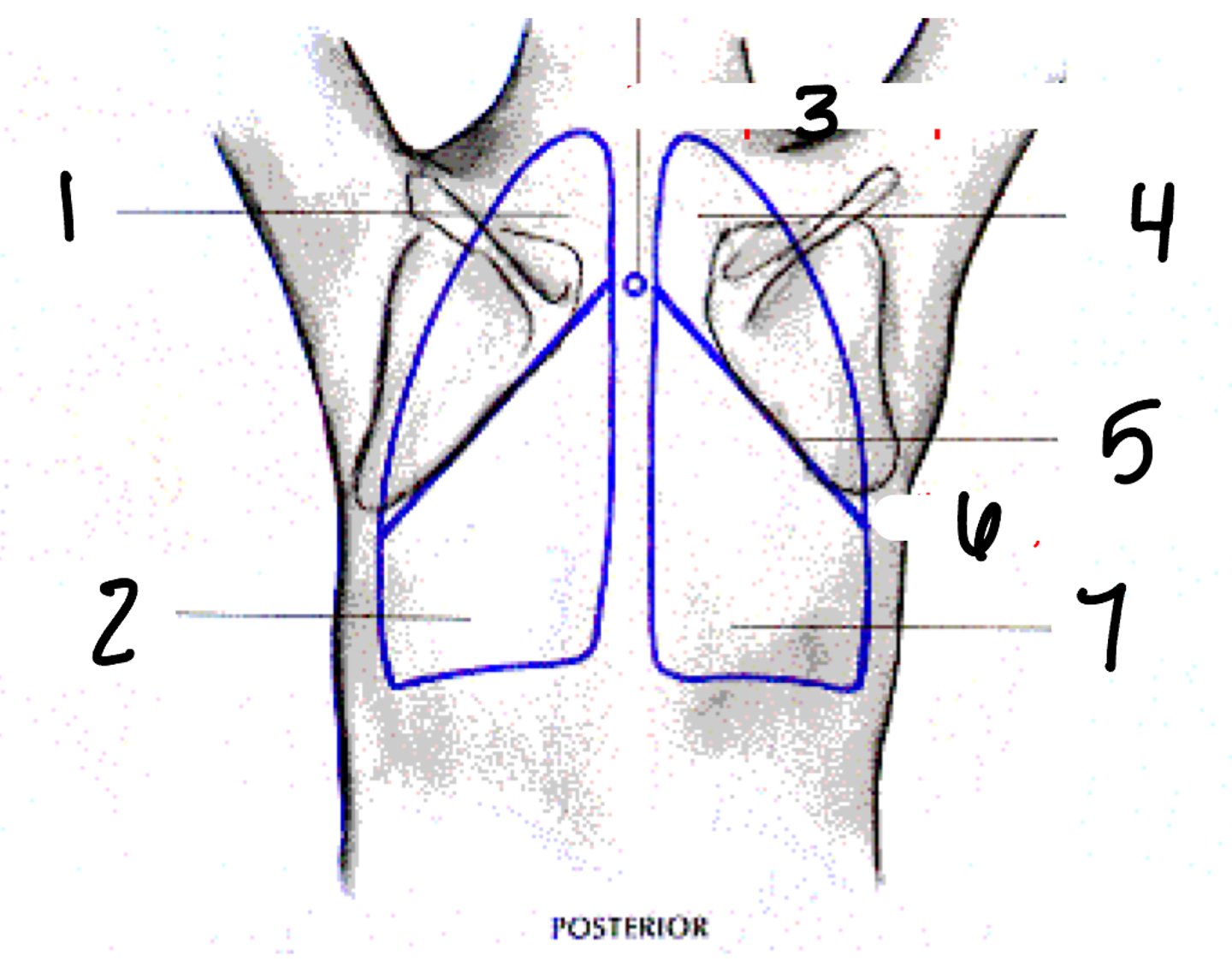 <p>3</p>