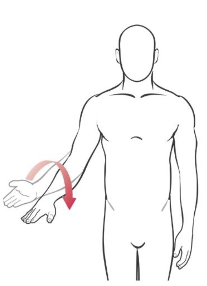 term image