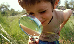<p>(v) ...future archaeologists will scrutinise coins... </p><p>xem xét kỹ lưỡng</p>