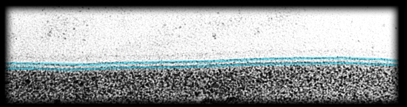 <p>What is highlighted</p>