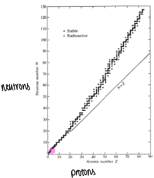 <p>If we plot the number of protons against the number of neutrons in a nuclei, we find that as the atomic number increases the relative ratio of neutrons to protons increases for stable nuclei.</p>