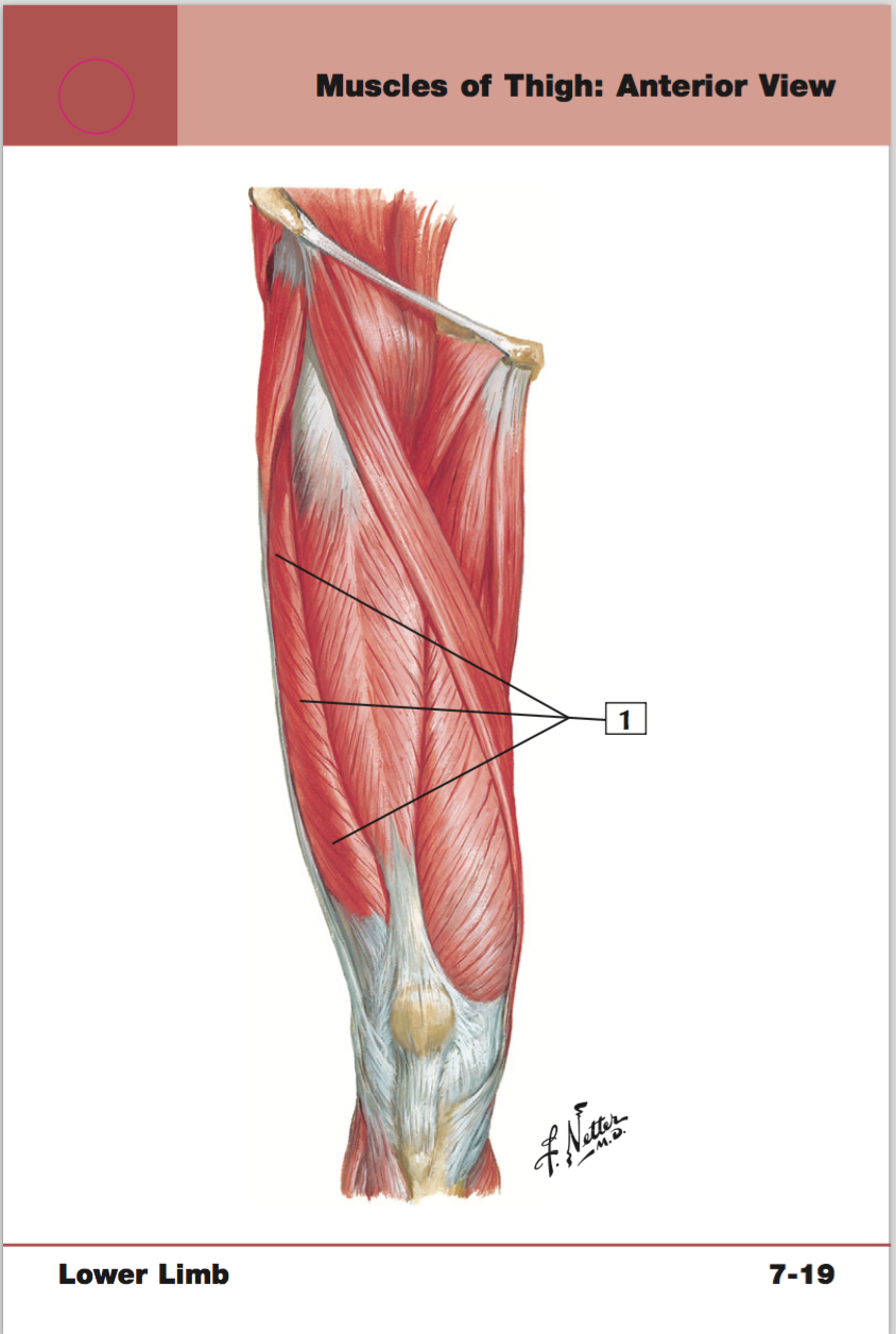 <p>+origin/insertion</p>