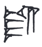 term image