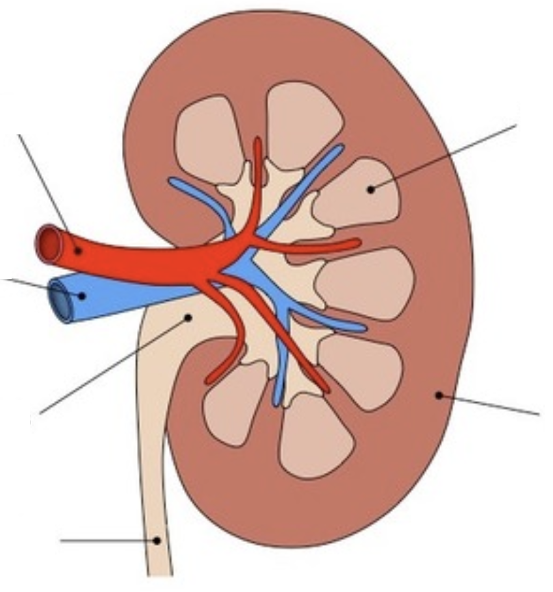 <p>Lower right label</p>