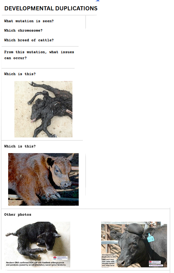 <p>.</p>