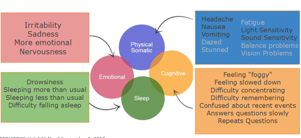 <p><span style="background-color: transparent;">Concussion management</span></p>