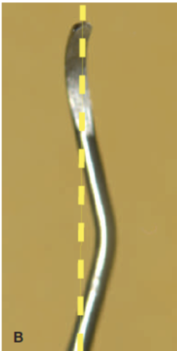 <p>Complex shank:</p><p>also called angled or curved shank</p>