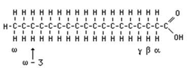 <ul><li><p>carboxylic acid group at the end </p></li><li><p>the rest is a hydrocarbon chain</p></li></ul><p></p>