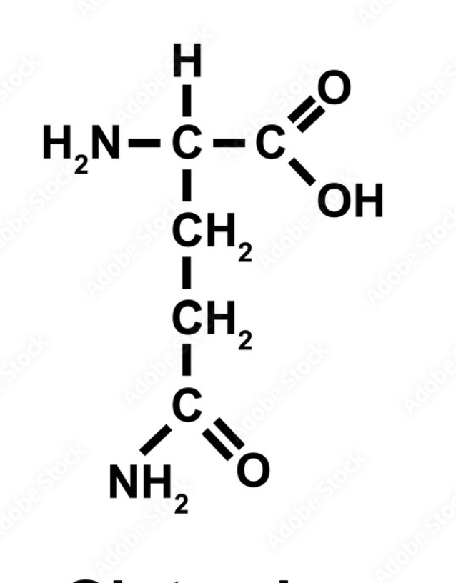 <p>what amino acid</p>