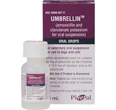 <p>SHELF 1: <strong>Umbrellin</strong> <em>(Amoxicillin + clavulanate potassium)</em></p>