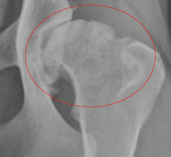 term image
