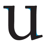 <p>A curved or wedge-like connection between the stem and serif of some fonts.</p>