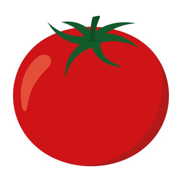 <p>Tomato</p>