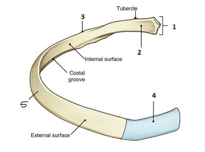 <p>1</p>