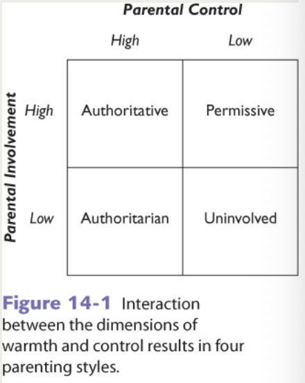 <ul><li><p>High control, little warmth</p></li><li><p>Enforce rules with little discussion, little give and take with children</p></li></ul><p></p>