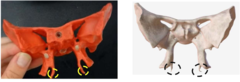 knowt flashcard image