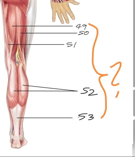<p>What is No. 49-53?</p>
