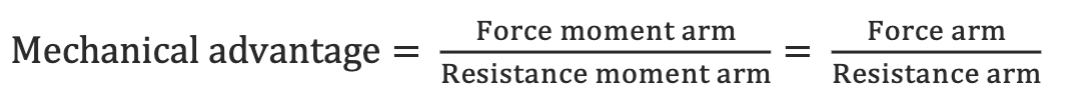 <p>-Mechanical effectiveness of a lever system, quantified as the ratio of the force arm to the resistance arm</p><p>-the longer moment arm has the advantage </p><ul><li><p>Advantage for the force =  moment arm of force > of resistance, ratio > 1</p></li><li><p>Advantage for the resistance = moment arm of resistance > of force, ratio < 1</p></li></ul><p></p>