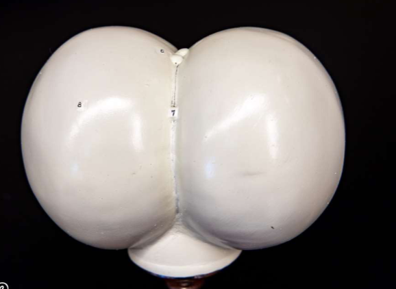 <p>What is this?</p>