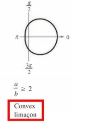 <p>convex limacons</p>