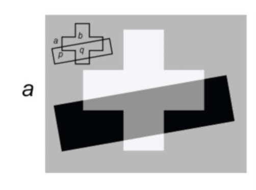 <p><strong>Double belongingness</strong> causes a scission </p><p><em>example: </em></p><ul><li><p>the grey superposition region is separated into 2 componenets </p></li><li><p>a transparent grey, belonging to the bar</p></li><li><p>an underlying white surface, belonging to the cross</p></li></ul><p></p><p><em>infers transparency </em></p><p></p>