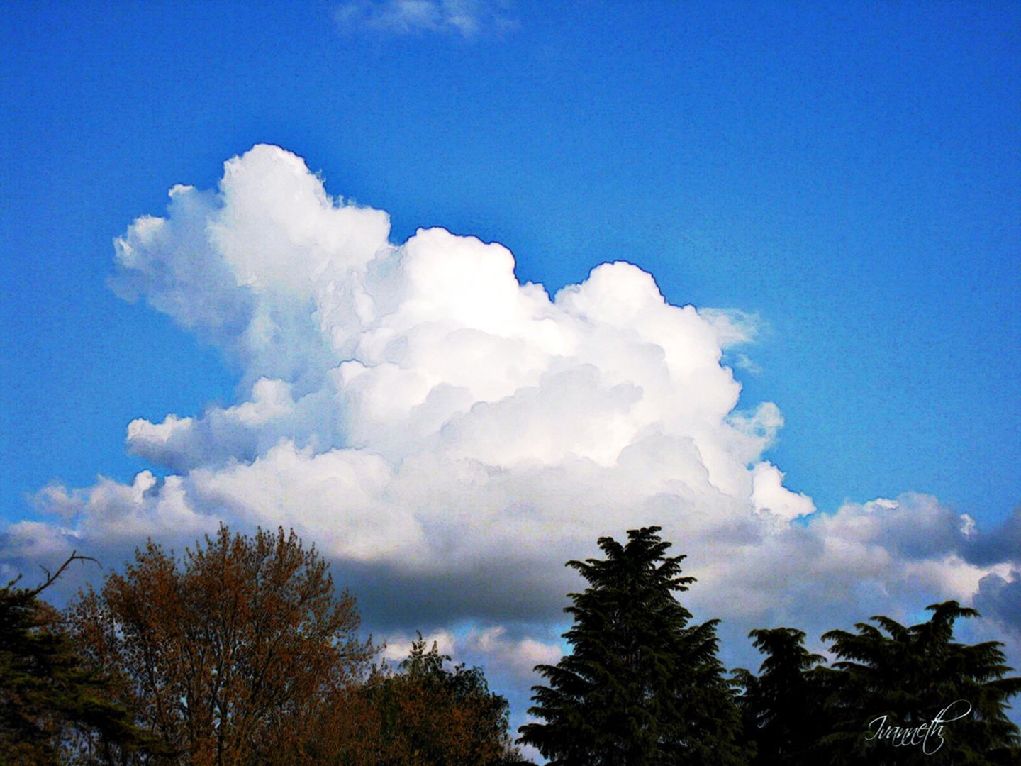 <p>cloud</p>