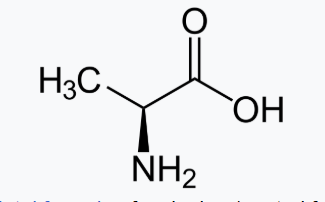 <p>Alanine</p>