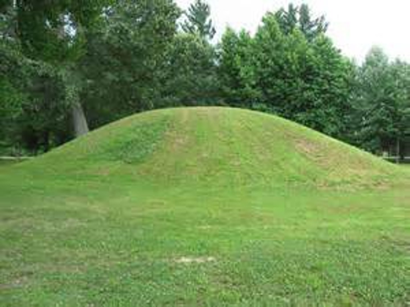 <p>a small hill</p>