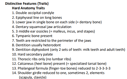 <p>hard anatomy</p>