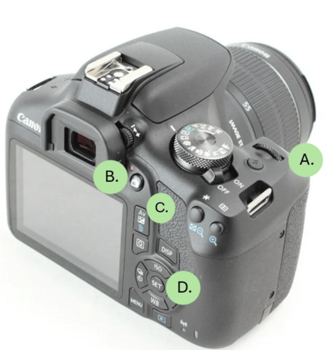 <p>D.</p><p>3 multiple choice options</p>