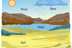 <p>Any nonliving part of an ecosystem</p>