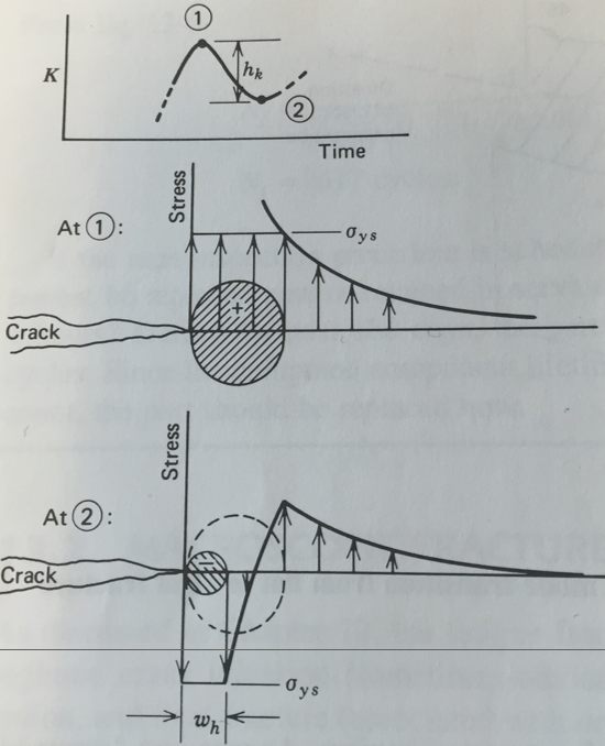 <p>It grows in tension and shrinks in compression</p>