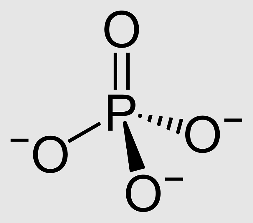 <p>What polyatomic ion is this?</p>